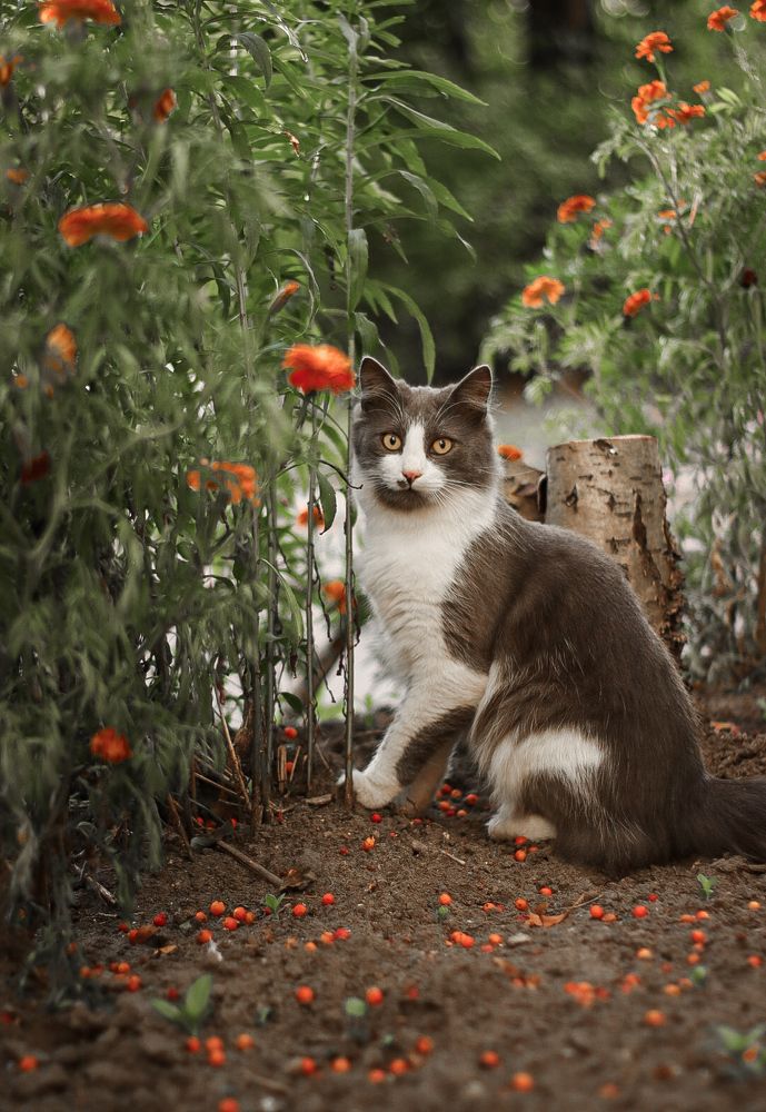 Photograph by Ася Весна