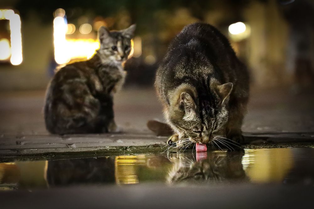 Photograph by Наталья Суслова