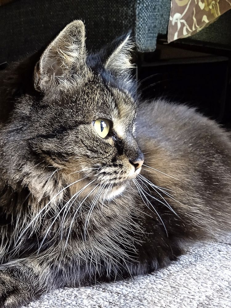 Photograph by Наталья Назаренко