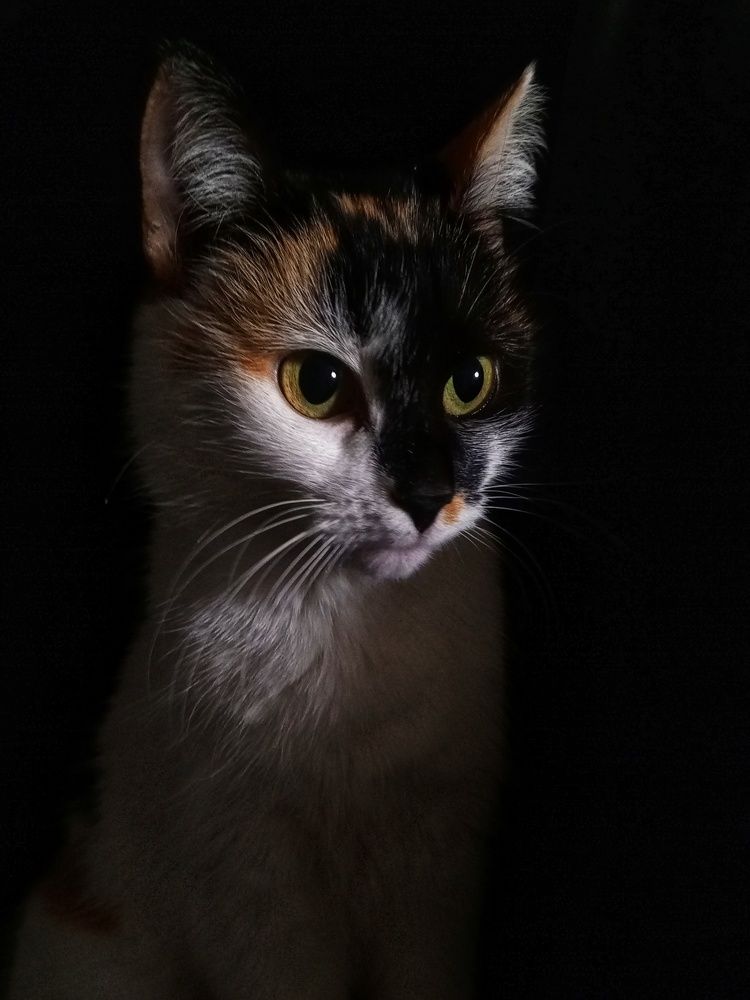 Photograph by Светлана Олейник