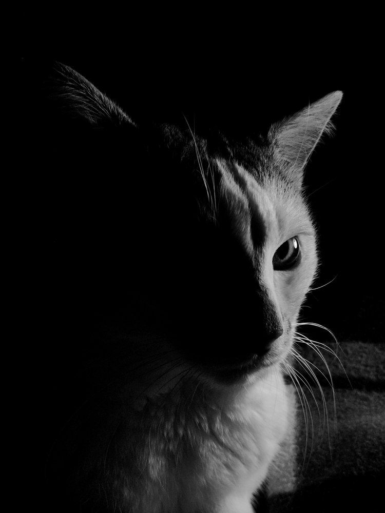 Photograph by Kanat Amre