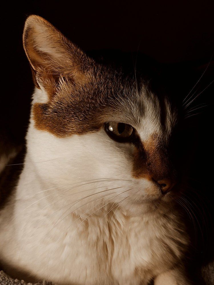 Photograph by Kanat Amre