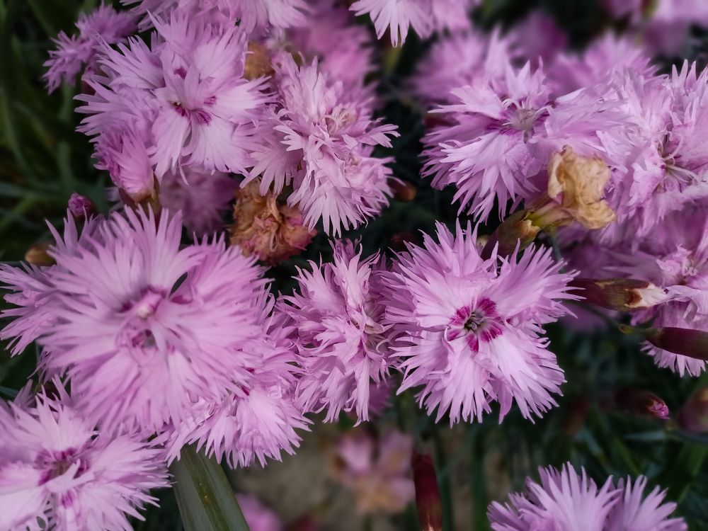 Photograph by Ирина Дмитриенко