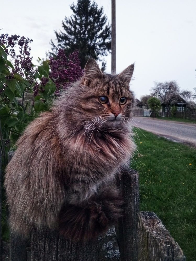 Photograph by Светлана Олейник