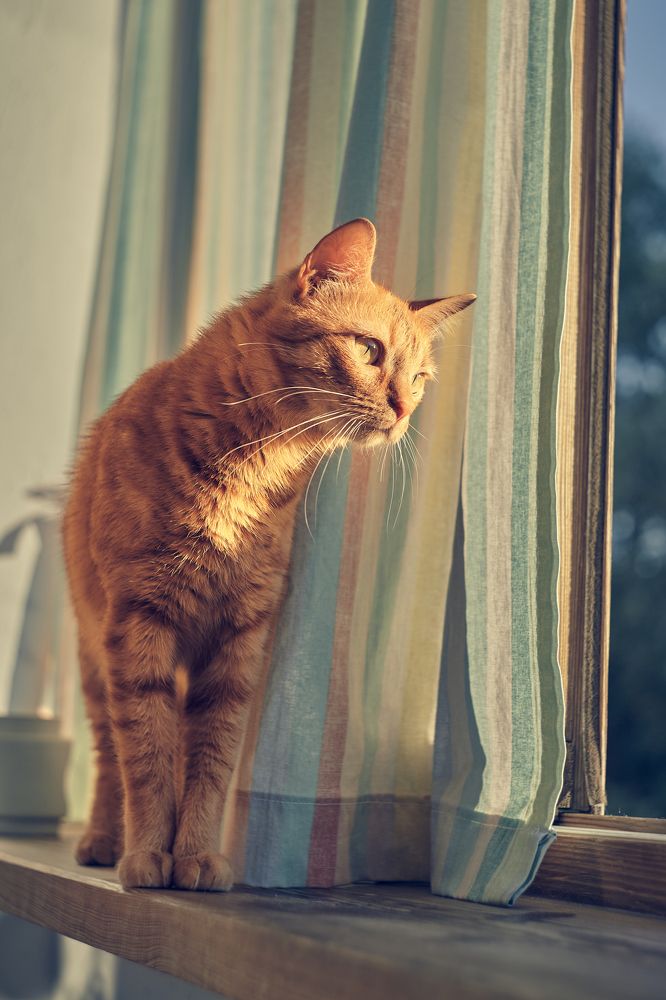 Photograph by Алексей Гунёв