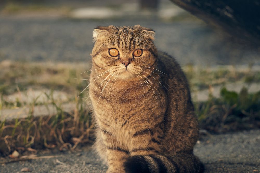 Photograph by Алексей Гунёв