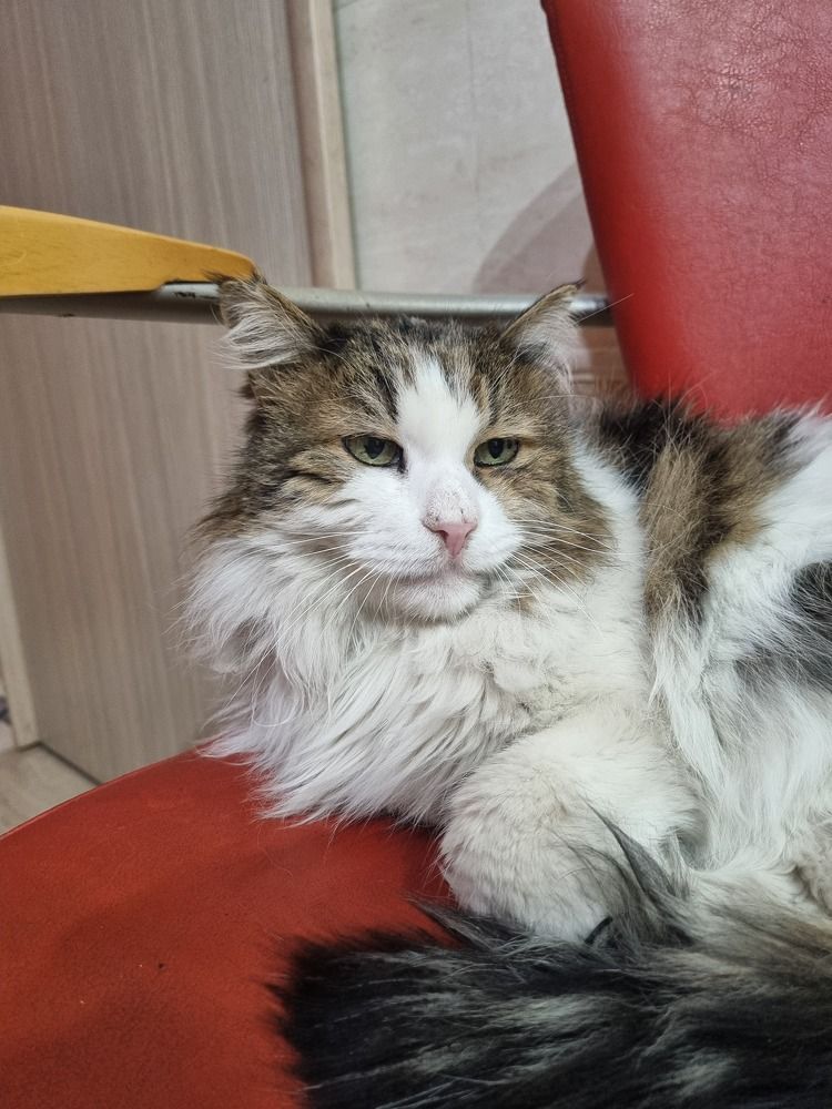 Photograph by Мадина Рустамова