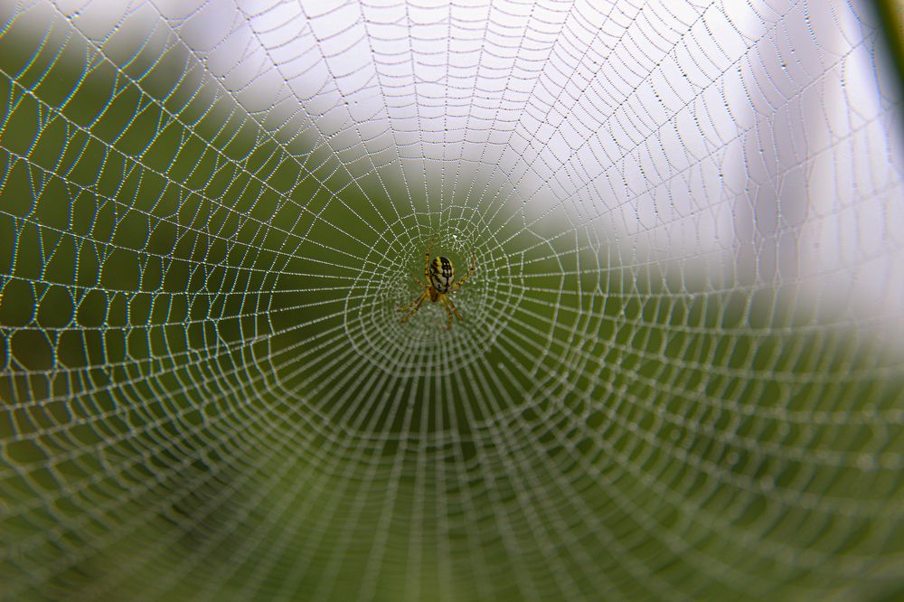 Photograph by Ирина Дмитриенко