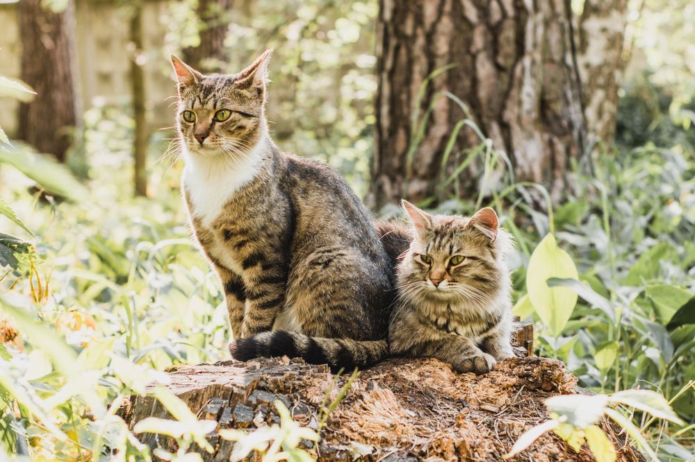 Photograph by Анна Крюкова