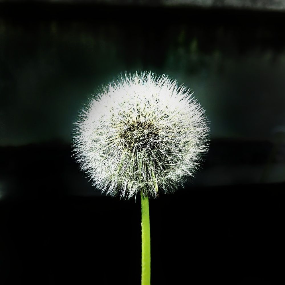 Photograph by Юрий Полушин