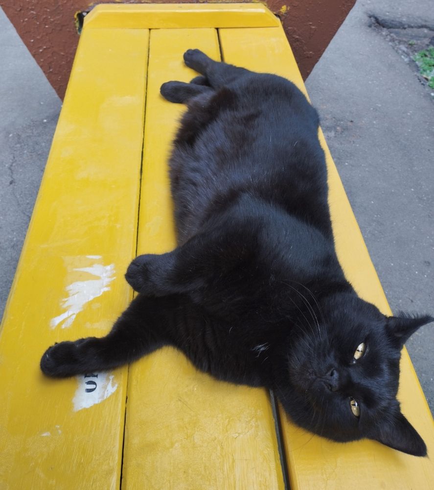 Photograph by Ольга Антохина