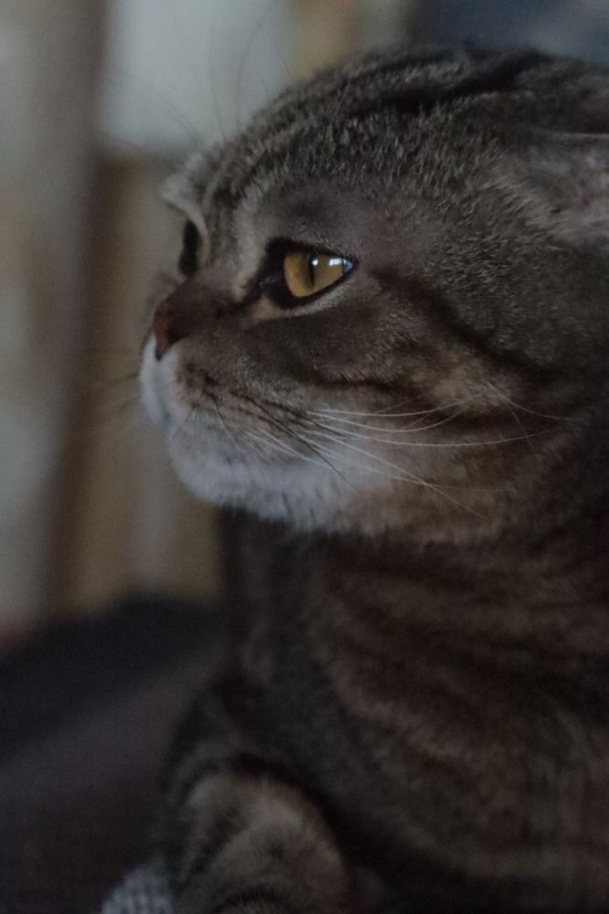 Photograph by Елена Рудкевич