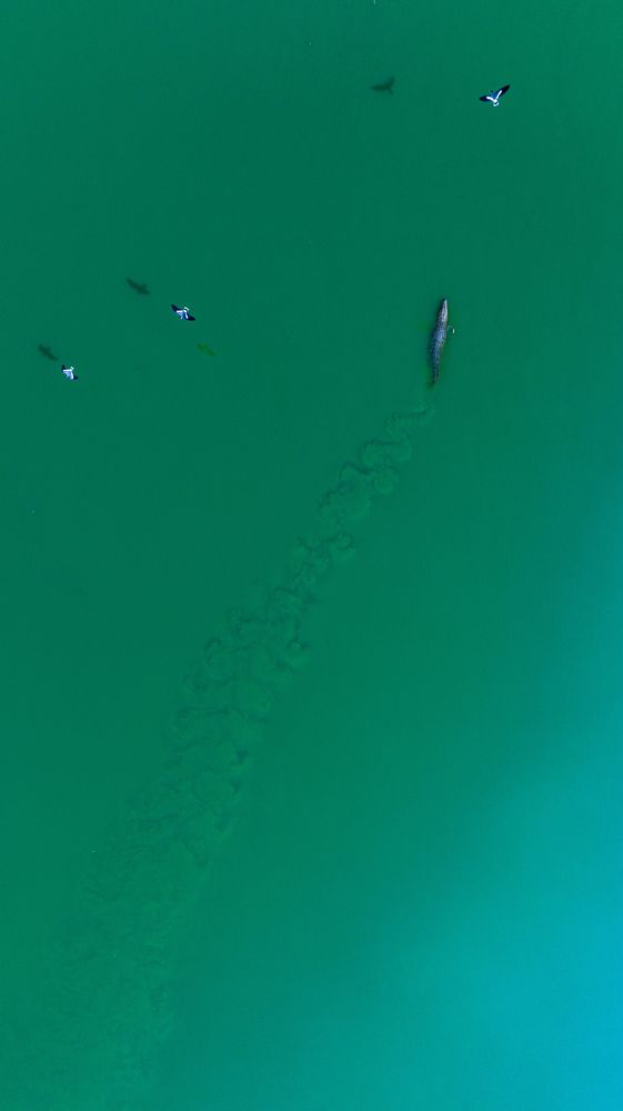 Фотография автора akshay kanade