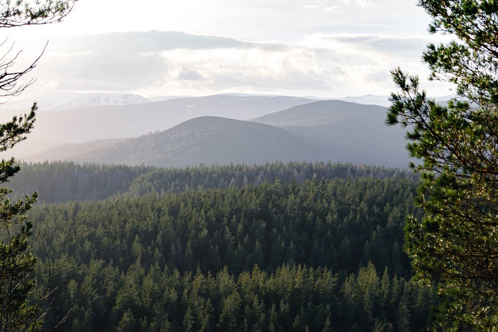 Фотография автора Elena Samusieva