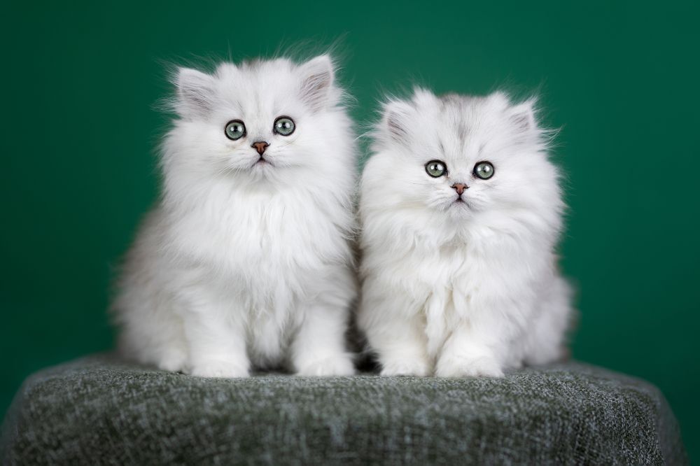 Photograph by Veronika Blažeková