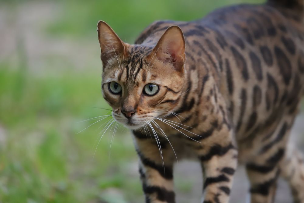 Photograph by Алексей