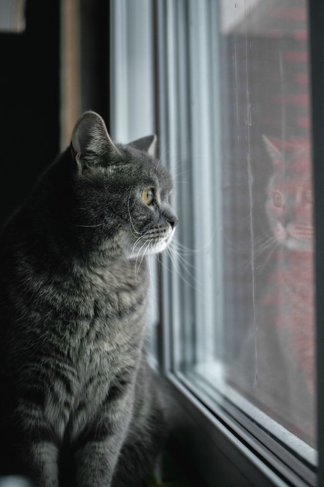 Photograph by Екатерина Абатурова