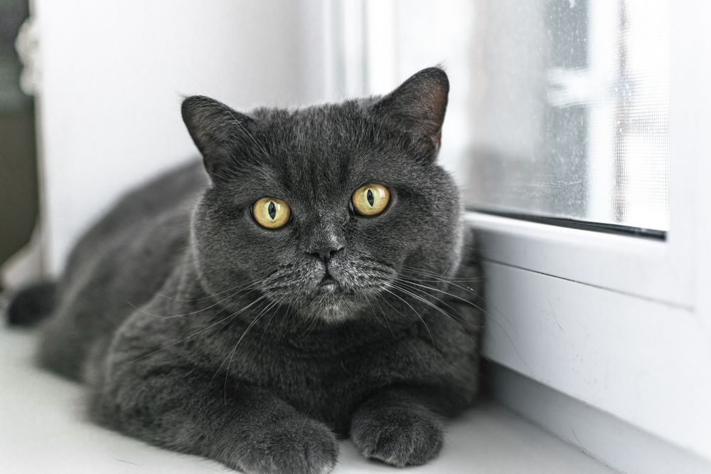 Photograph by Екатерина Абатурова