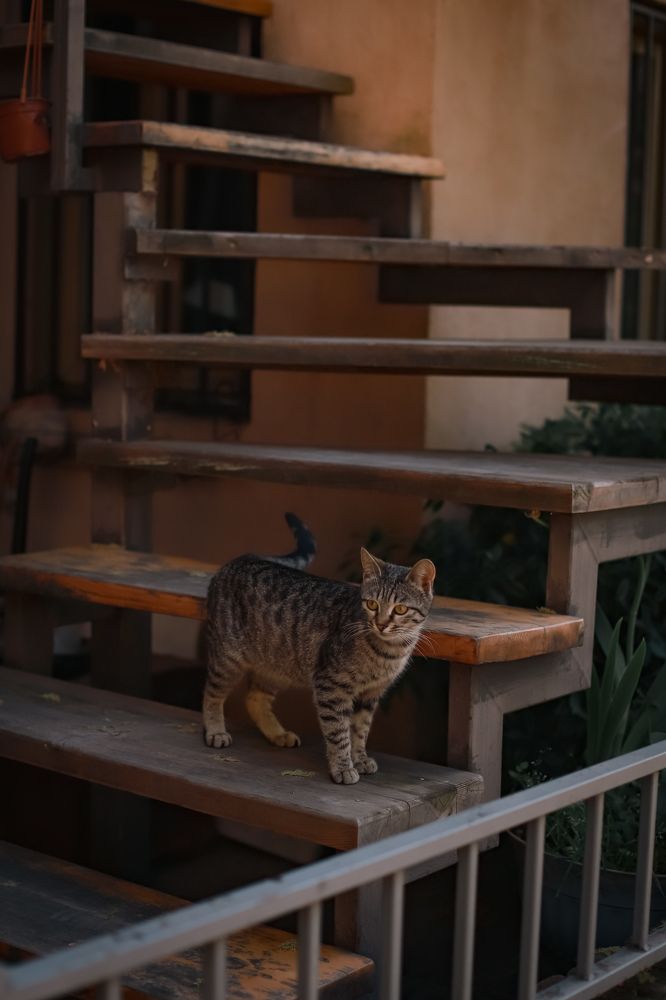 Photograph by Дарья Попова