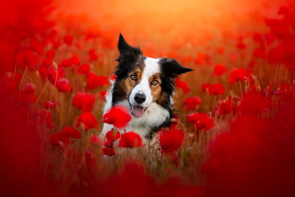 Photograph by Veronika Blažeková