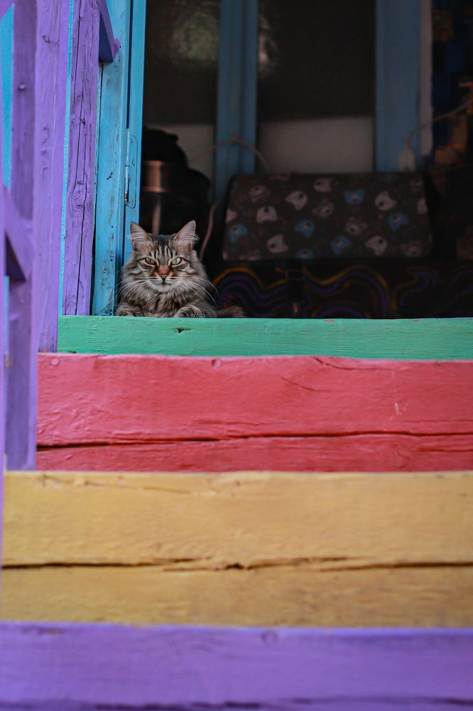 Photograph by Дарья Попова