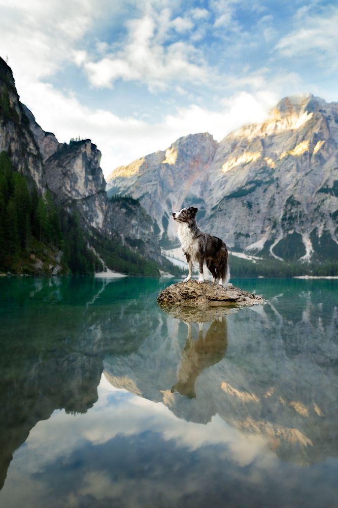 Photograph by Veronika Blažeková