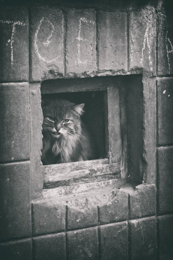 Photograph by Максим Филатов