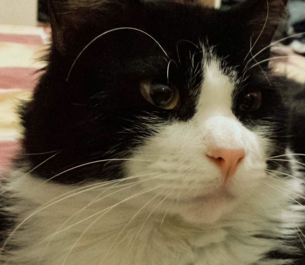 Photograph by Jorge Giol