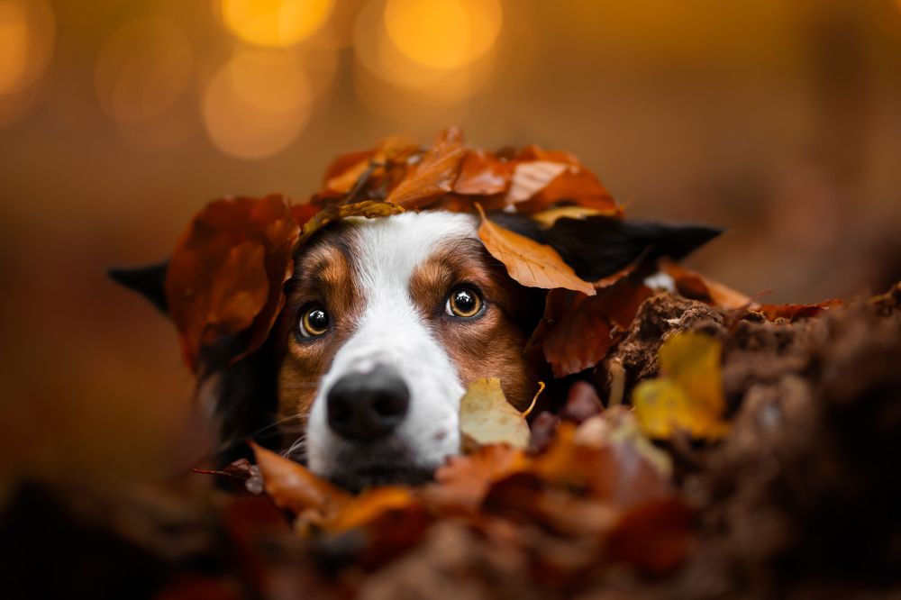 Photograph by Veronika Blažeková