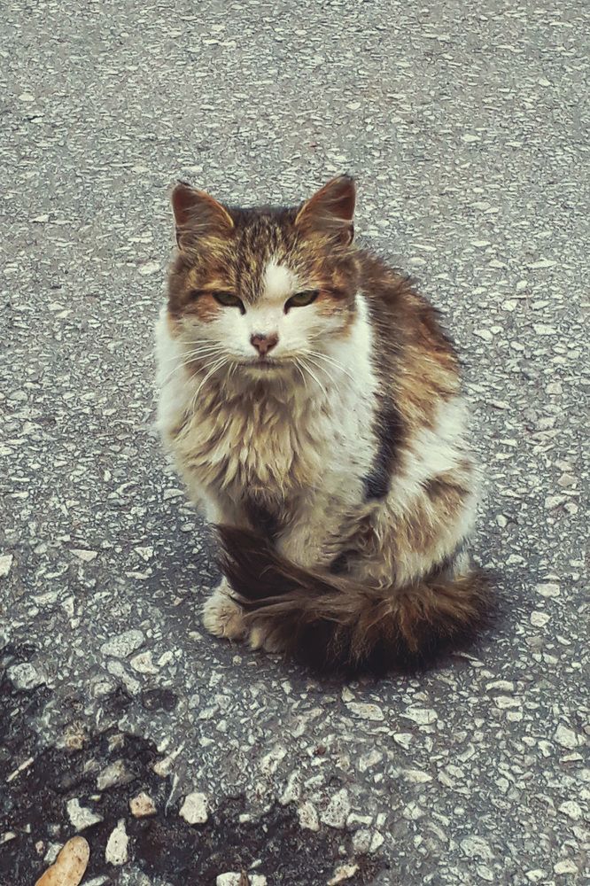 Photograph by Максим Филатов