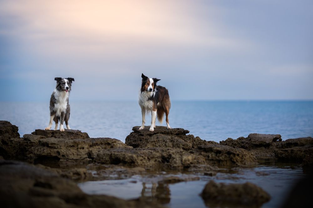 Photograph by Veronika Blažeková