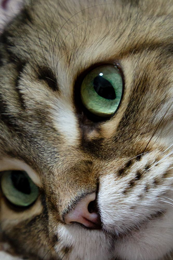 Photograph by Наталья Кириченко