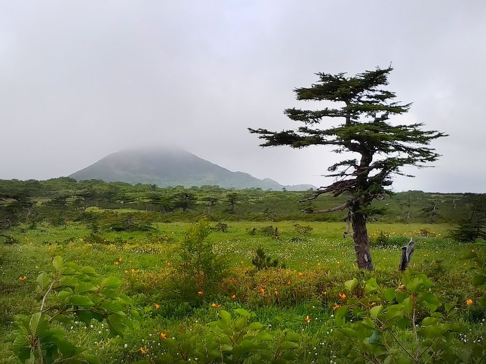 Фотография автора Светлана Зимина