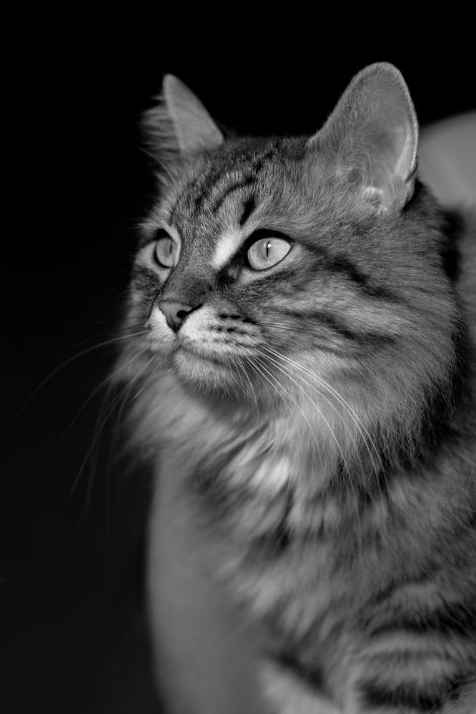 Photograph by Наталья Кириченко