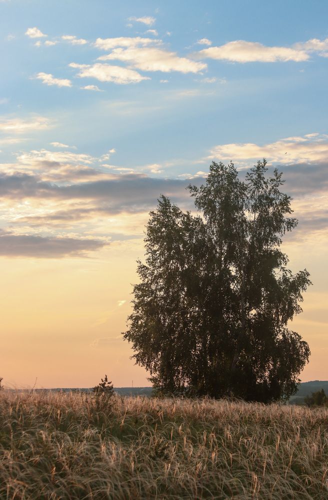 Photograph by Елена Рудкевич