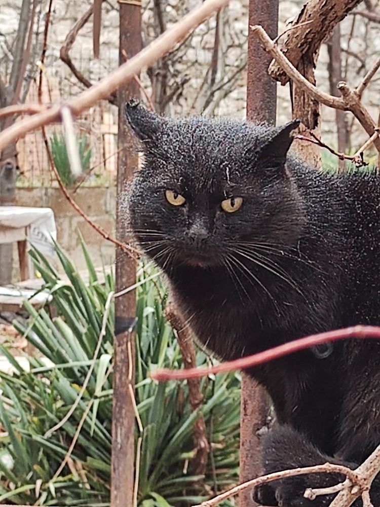 Photograph by Соколик Евгений