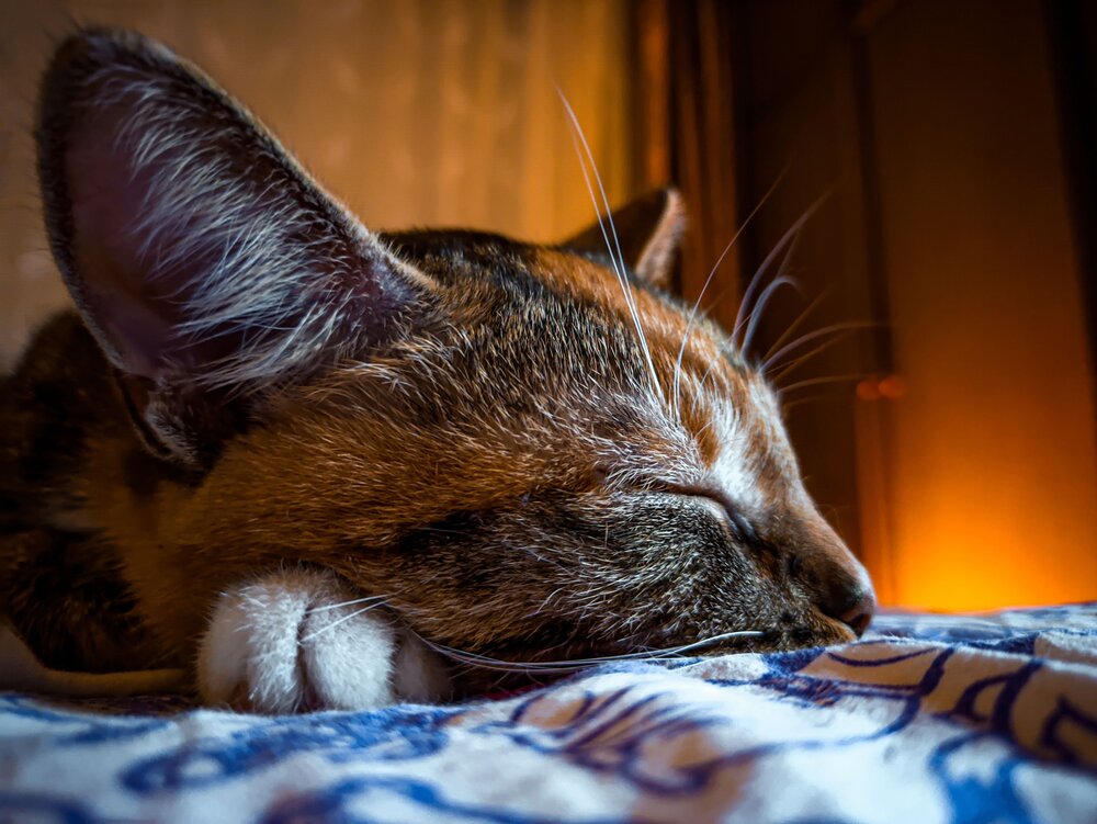 Photograph by Александр Хухлов