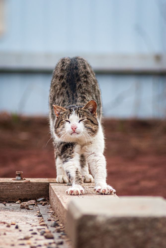 Photograph by Денис Кичев