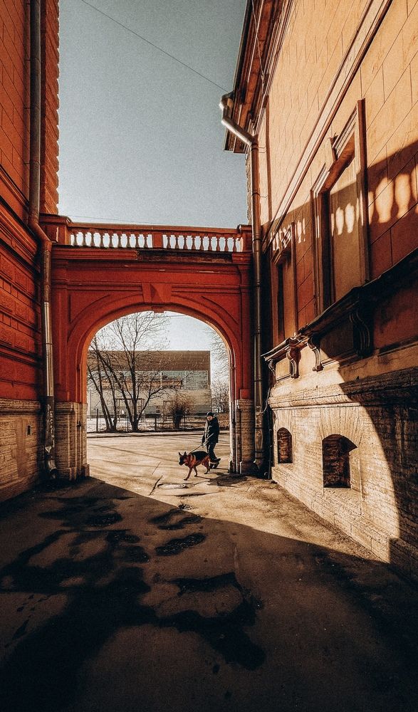 Photograph by Светлана Масютина