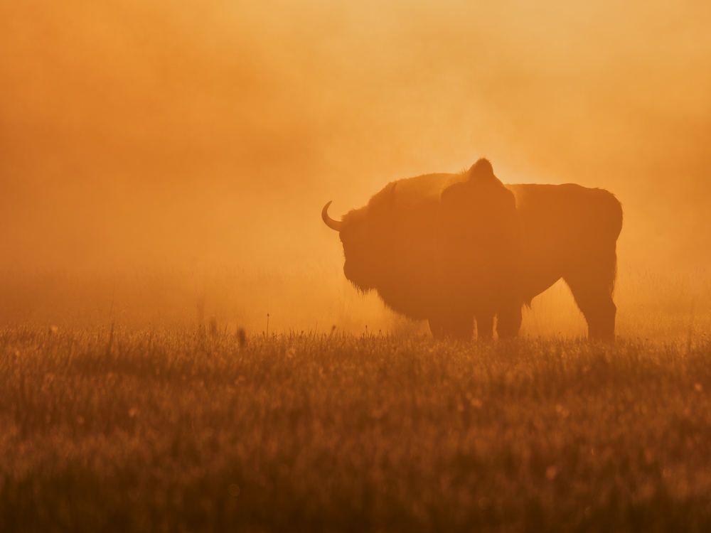 Photograph by Peter Hrubovsky