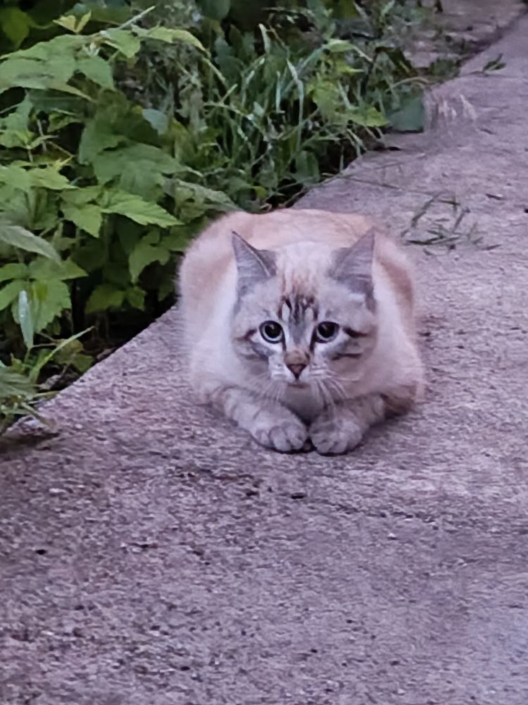 Photograph by Татьяна Пальчикова