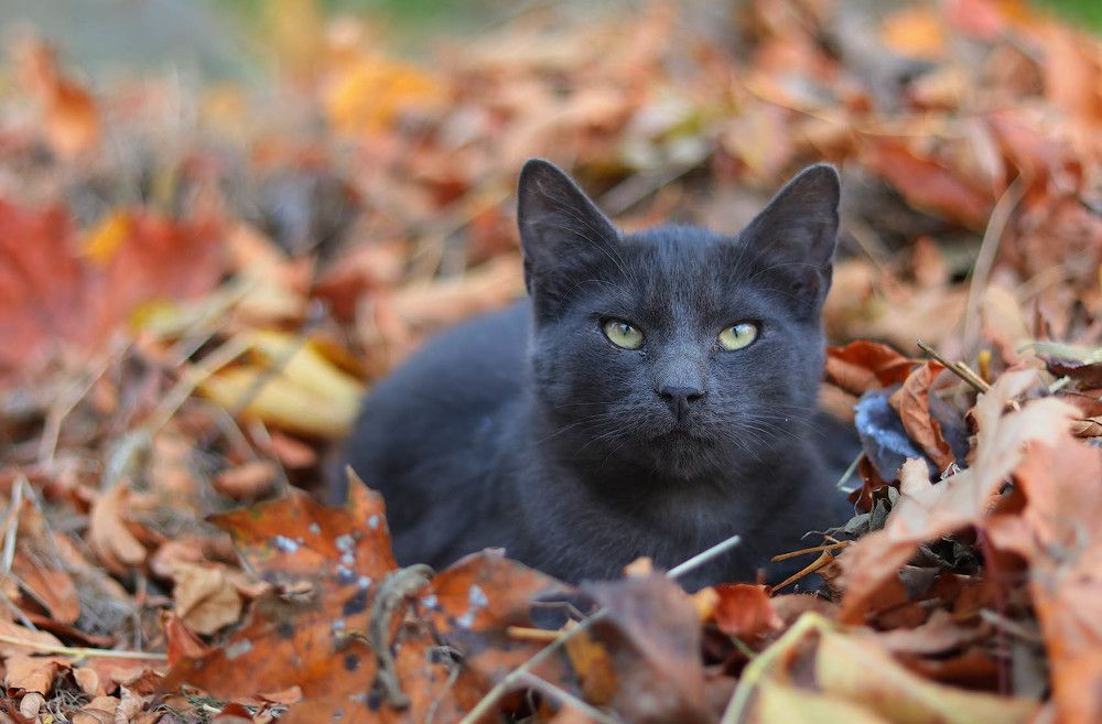 Photograph by Сергей Харитон