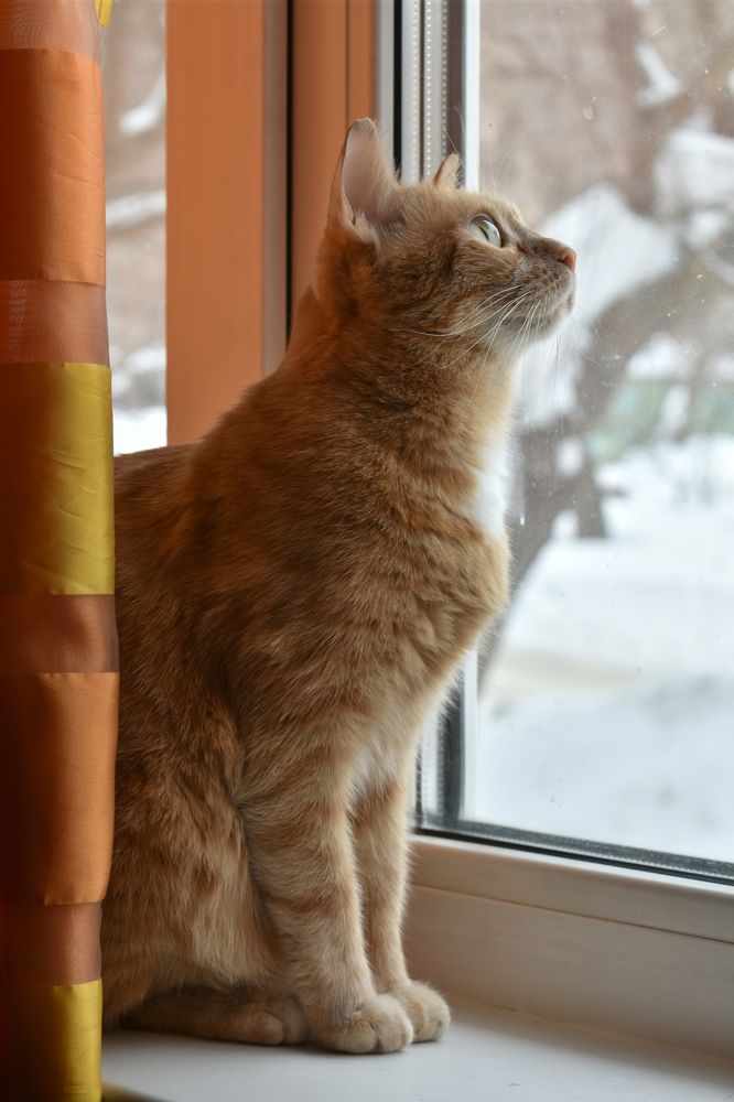 Photograph by Юлия Боровкова