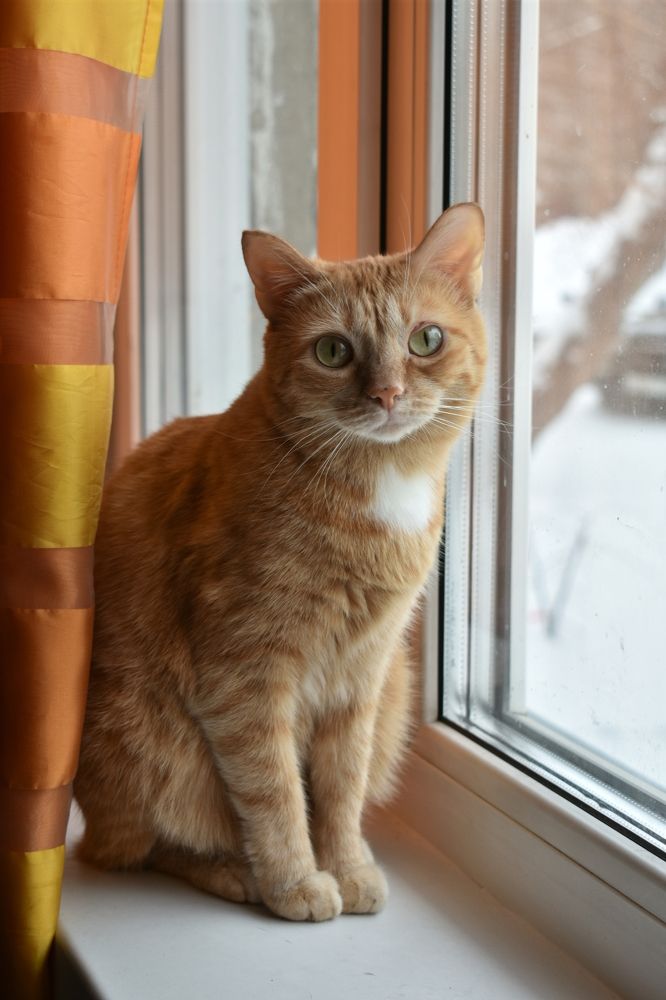 Photograph by Юлия Боровкова