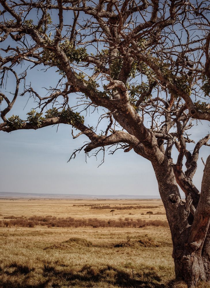 Photograph by Людмила Евстратова