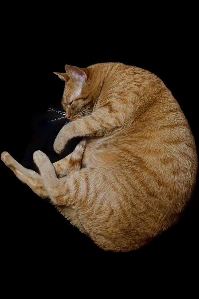 Photograph by Наталья Кириченко