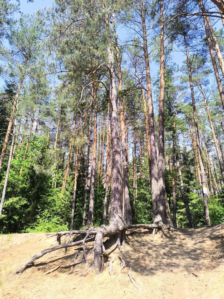 Photograph by Людмила Муравьева