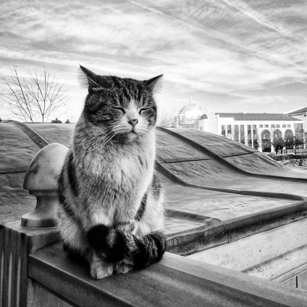 Photograph by Людмила Евстратова