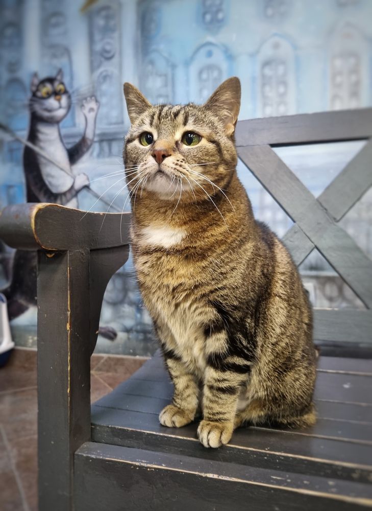 Photograph by Юлия Алексейчикова