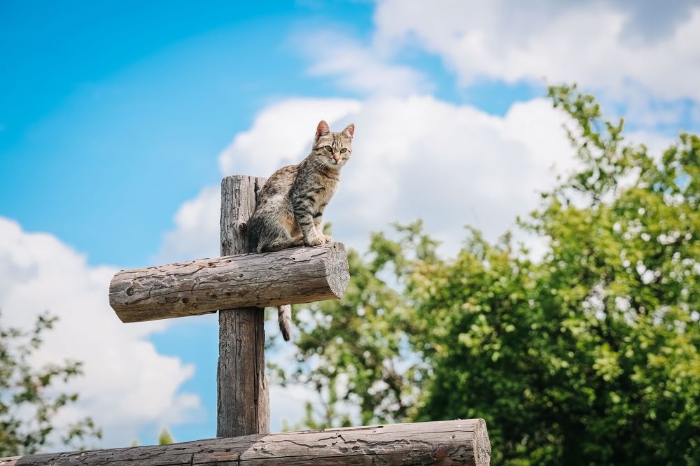 Photograph by Ольга Широкова